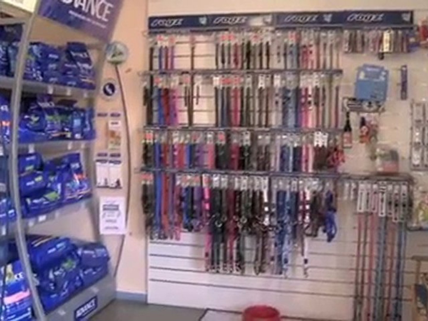 ⁣Vet Reynella Old Reynella Veterinary Clinic SA