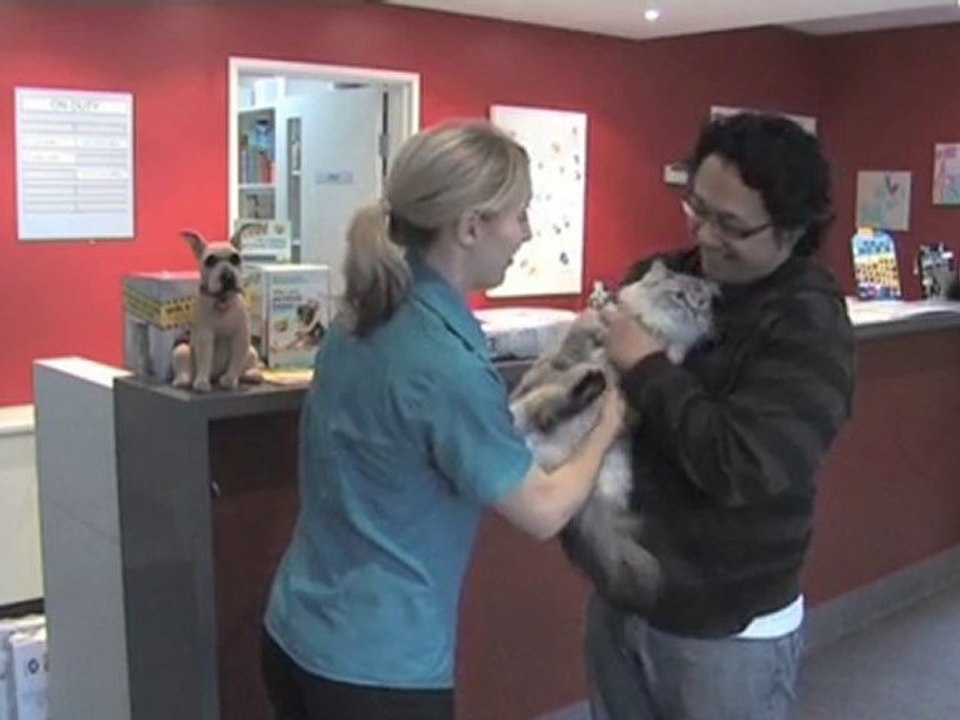 Vet Prahan Friendly Vet Pty Ltd VIC