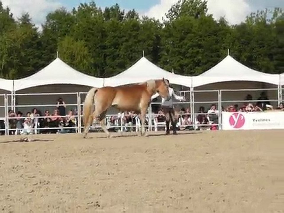 Pauline et Naiade - 11èmes RDV éthologiques à La Cense 4/11