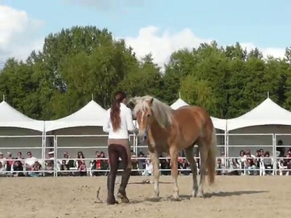 Pauline et Naiade - 11èmes RDV éthologiques à La Cense 4/11