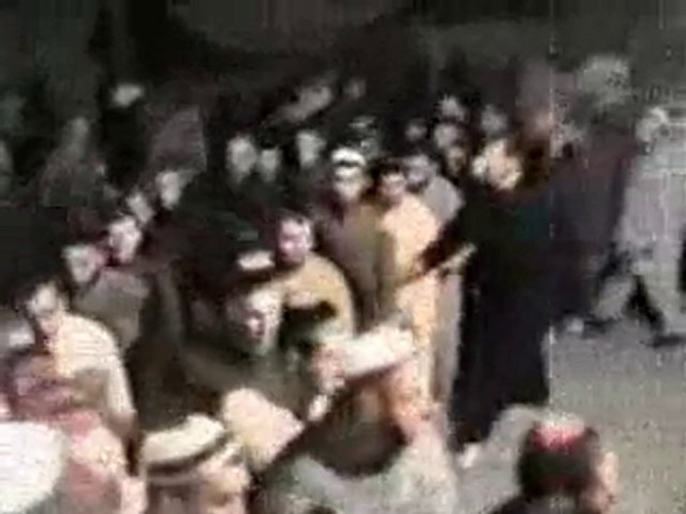 pogo tarikatı