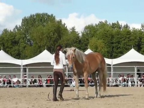 Pauline et Naiade - 11èmes RDV éthologiques à La Cense 5/11