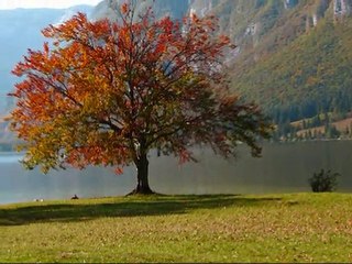 SEVERINA voli me NE VOLI