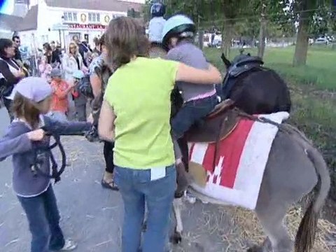 Calaisis TV : 3ème edition de la Fête de l'âne