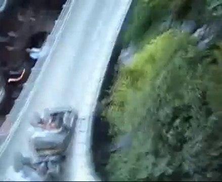 Schweizer Bobbahn Bobsleigh montagne russe