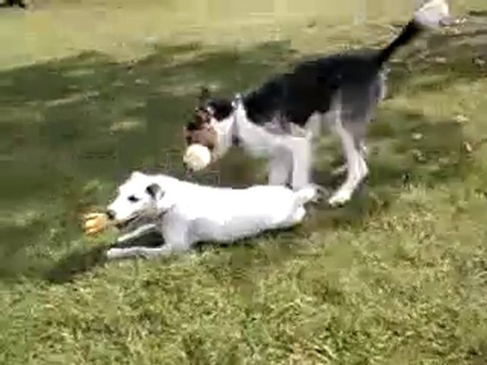 au parc