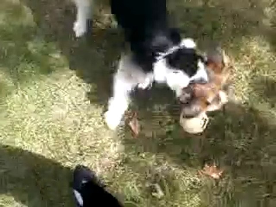au parc