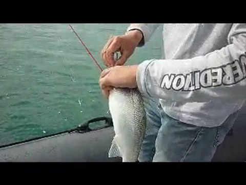 Bretagne Moniteur Guide Pêche 2010 septembre Chausey pêche.avi