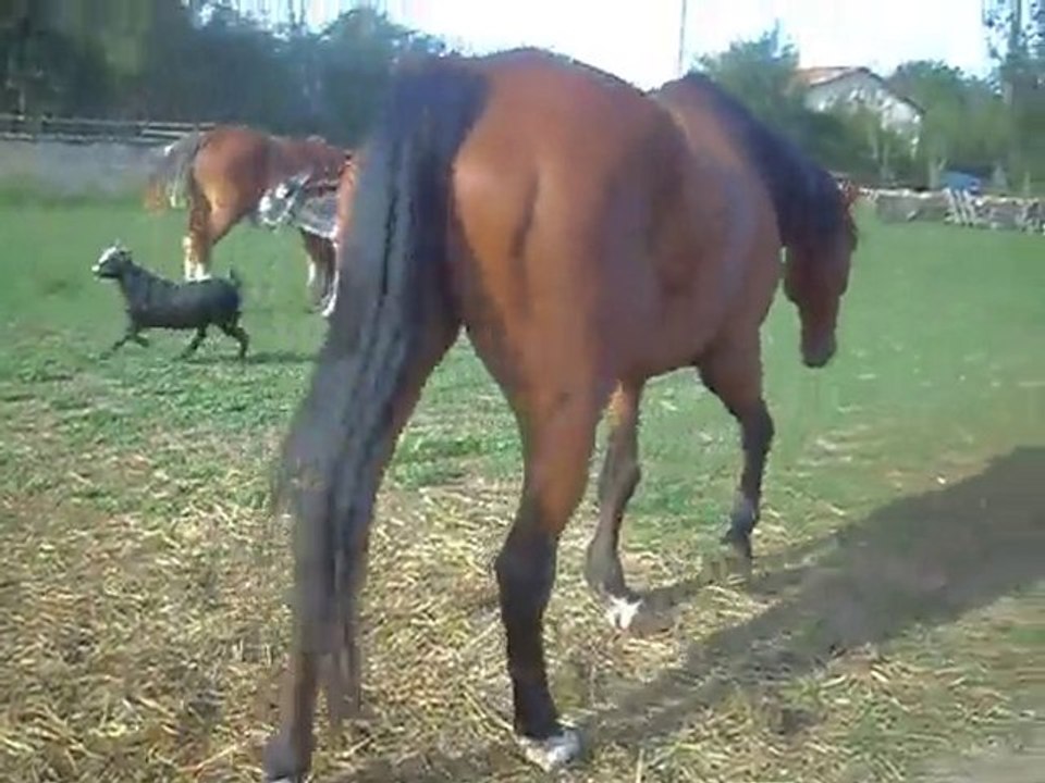 SDC13444