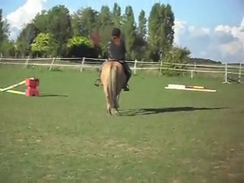 STAGE AVEC CELINE:pour les cavaliers,mise en avant d' abord.