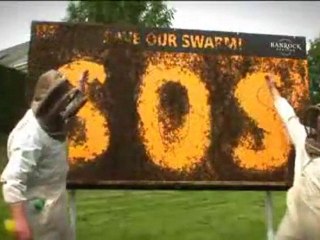 10,000 bees billboard ad [World_s first ad with live bees]