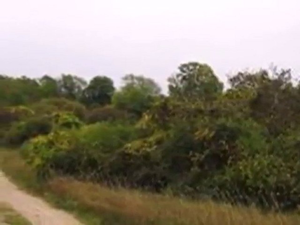 Homes for Sale - N5555 County Road U - Glenbeulah, WI 53023