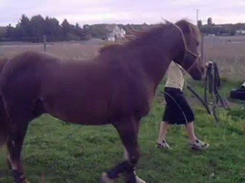 Salim longe obstacle