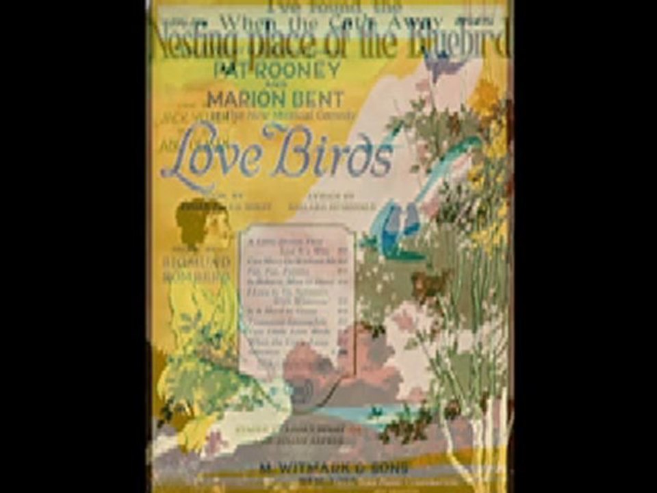 Palais d'Or Orchestra - I'm Nuts About Mutts