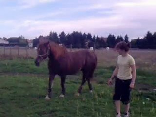 Salim stick to me obstacle