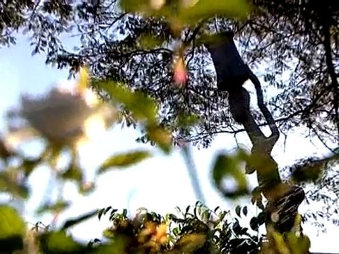 INTER-CONTINENTAL LUSAKA Discover