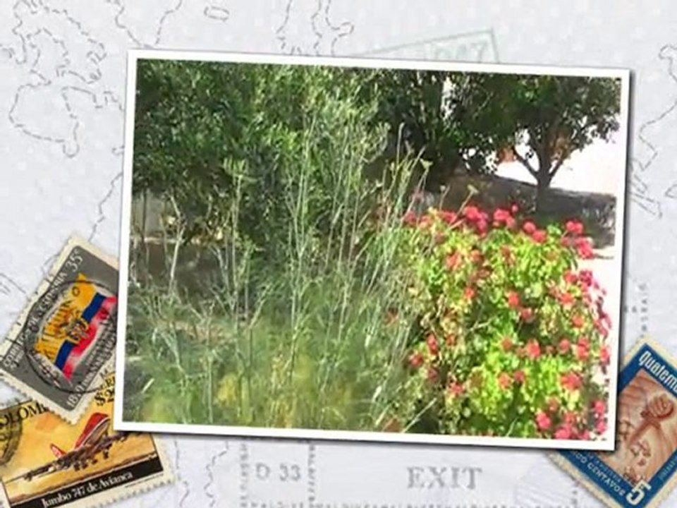 Tasmania Village, Elounda, Crete, Greek Islands