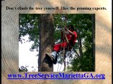 Tree Service Marietta GA - Marietta Tree Service