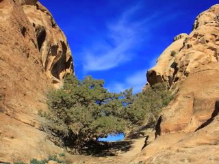 Diaporama photos de la Jordanie