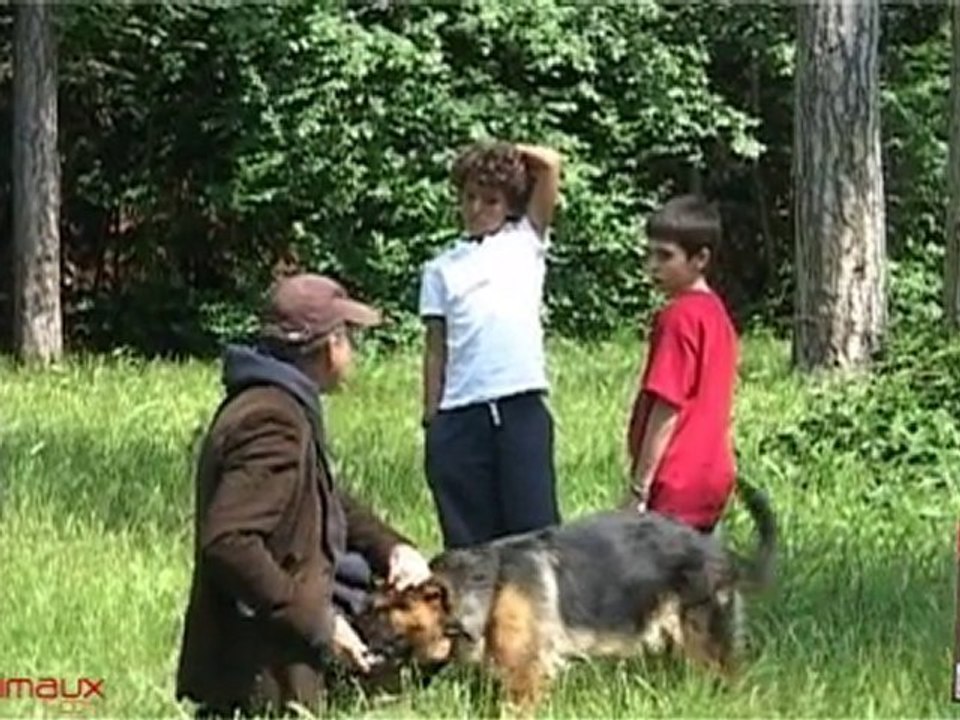 Des jeux complices : jeux éducatifs