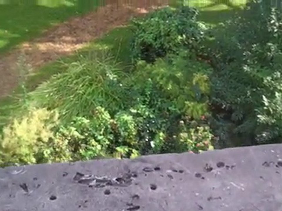 ecole musique conservatoire de noyon