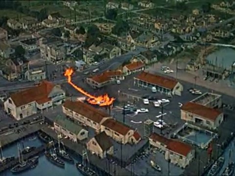 The Birds, Alfred Hitchcock (1963)