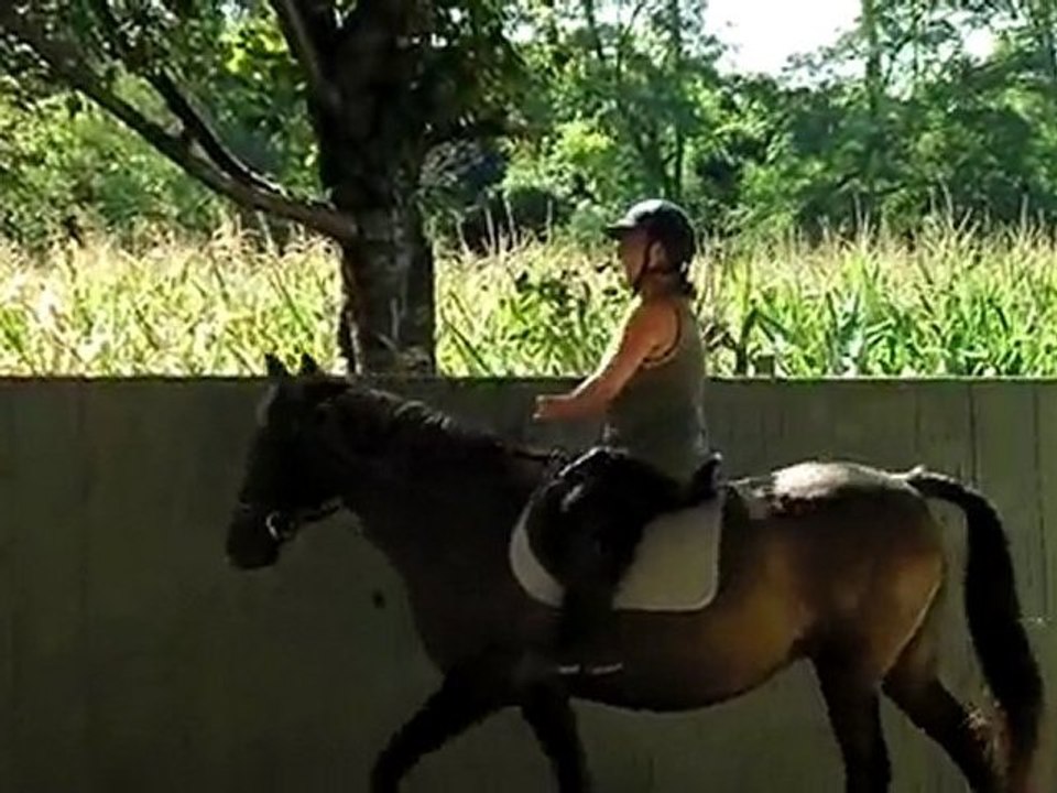 Roxane 3