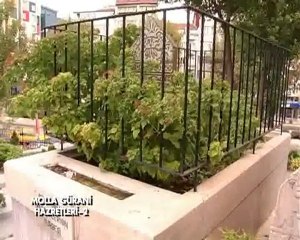 Molla Gürani hazretleri (2)