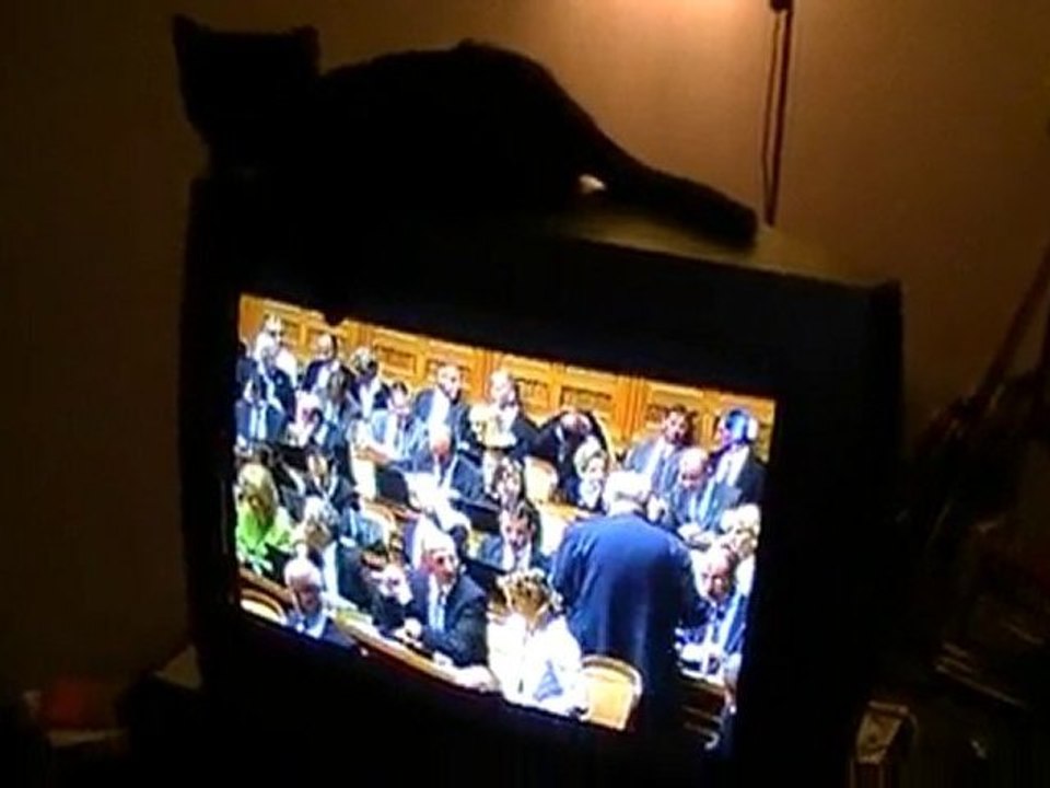 MOV036