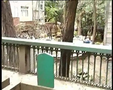 Mustafa İzzi Efendi Hazretleri