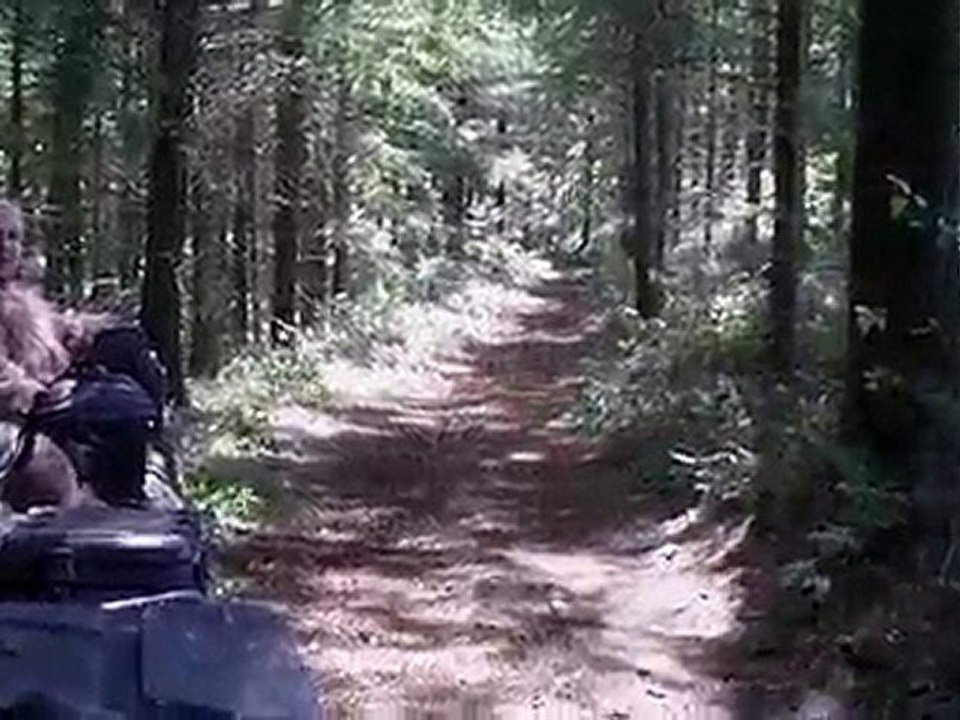 la quadrezienne 2010