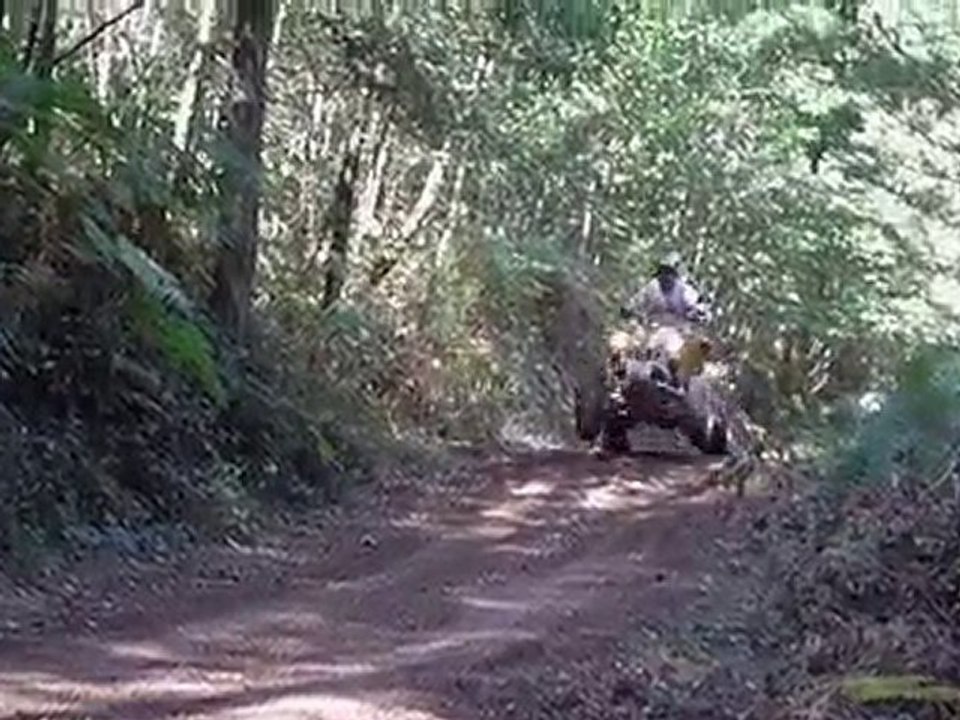 la quadrezienne 2010