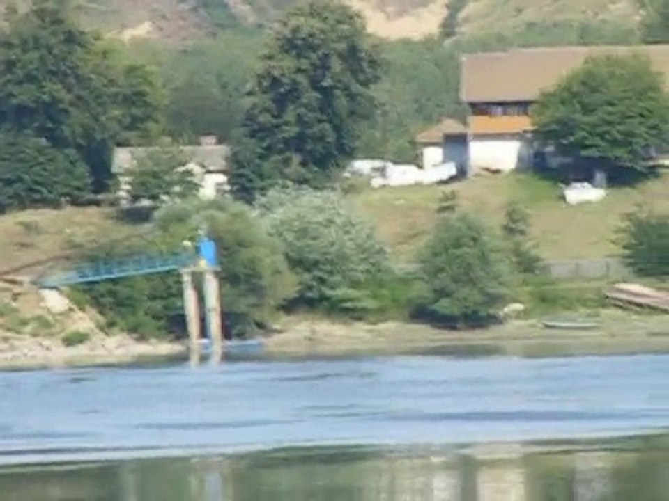 Radujevac 2010