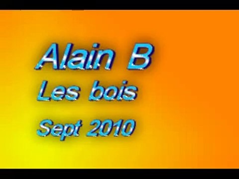 Le swing de Alain B les bois Sept 2010