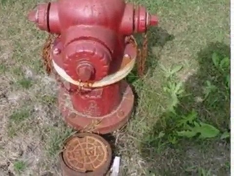 Homes for Sale - 19875 Stoney Island Ave - Lynwood, IL 60411