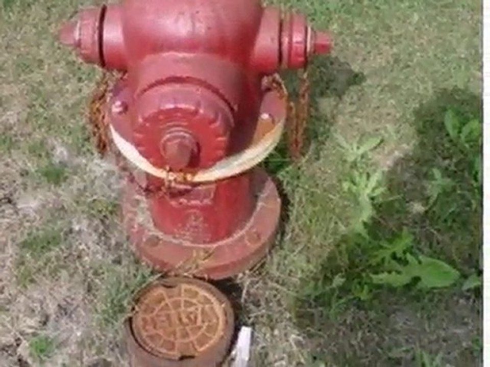 Homes for Sale - 19875 Stoney Island Ave - Lynwood, IL 60411