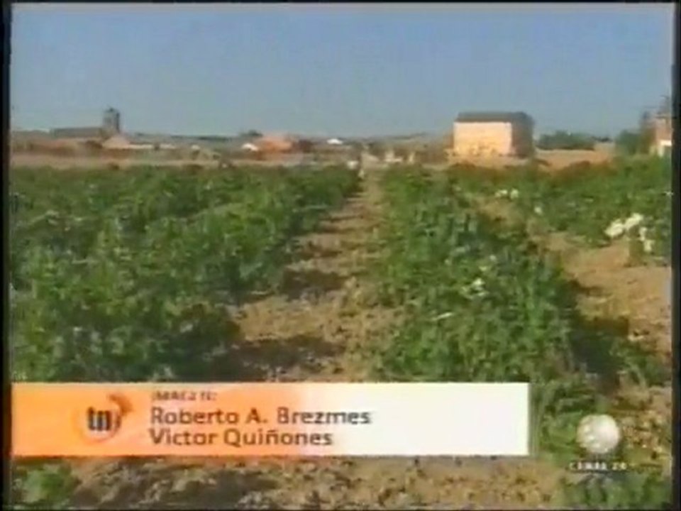 El vino de hielo en canal 29