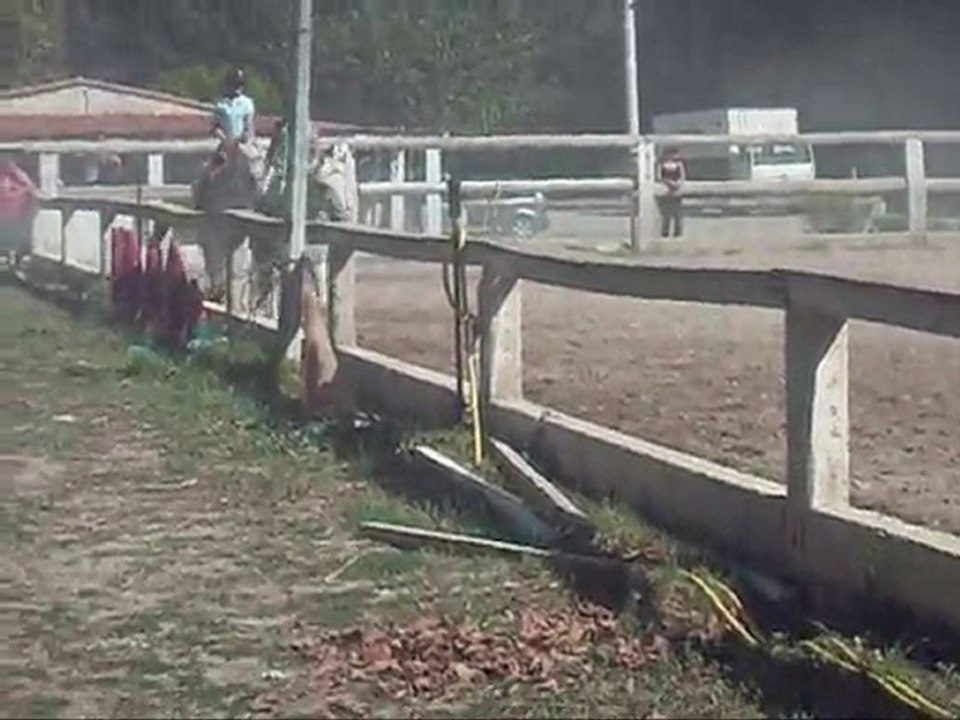 Ines, cours de monte camargue