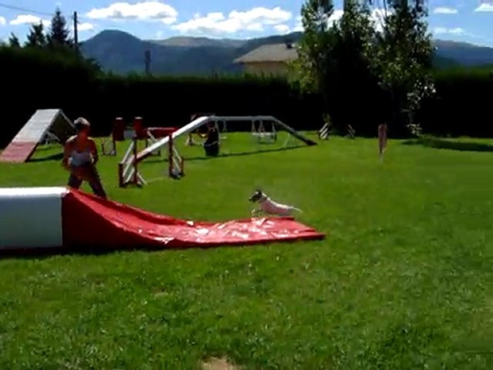 agility