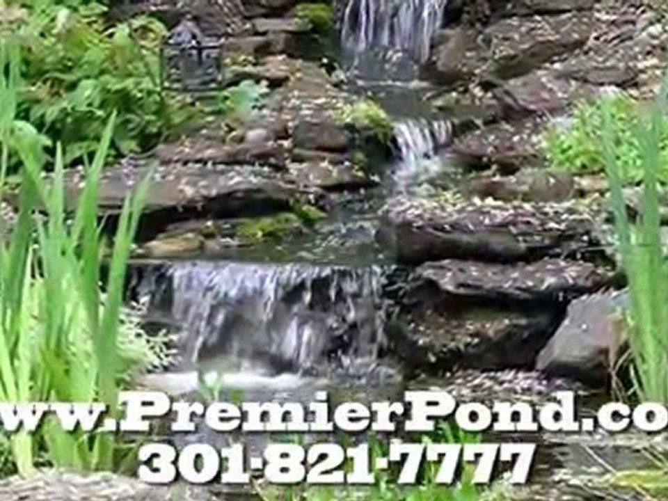 Pond Repairs Howard County MD
