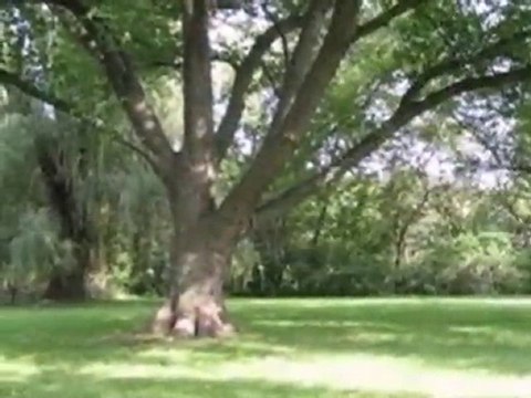 Homes for Sale - 799 W Everett Rd - Lake Forest, IL 60045 -