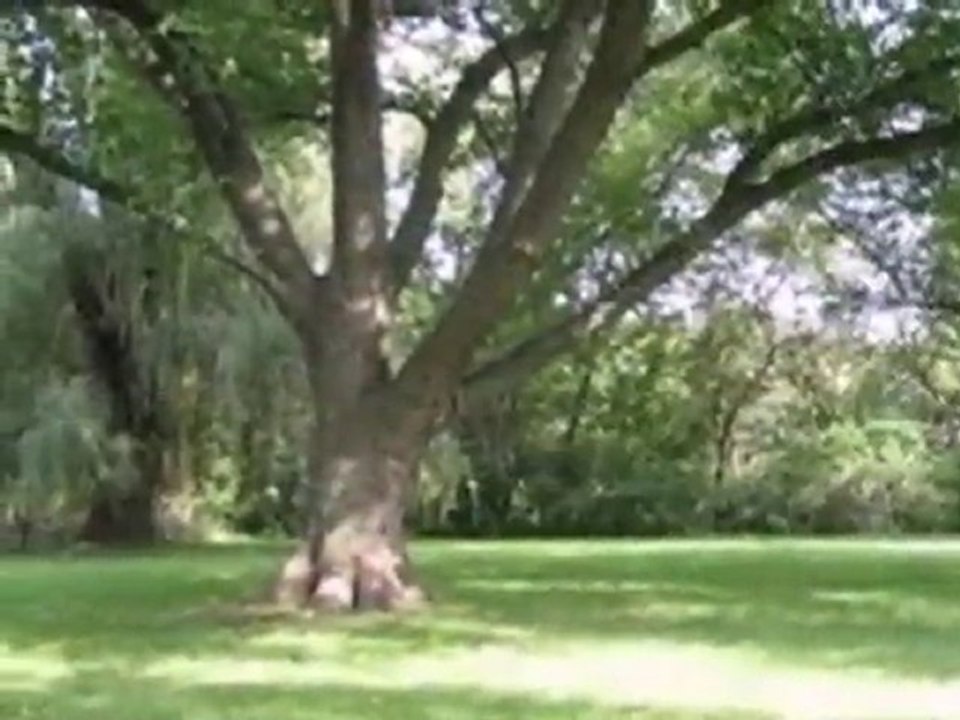 Homes for Sale - 799 W Everett Rd - Lake Forest, IL 60045 -