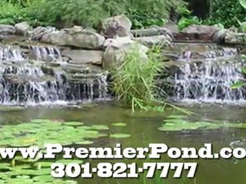 Pond Repairs Washington DC