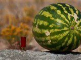 Shotgun Blows Up Watermelon