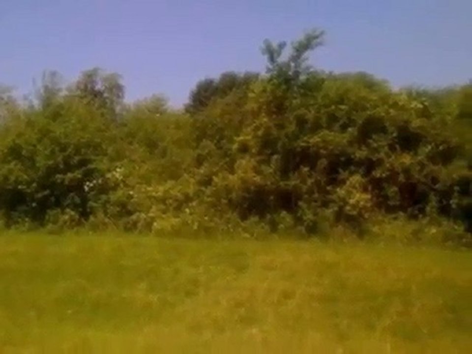 Homes for Sale - 45 Squire Rd - Hawthorn Woods, IL 60047 - C