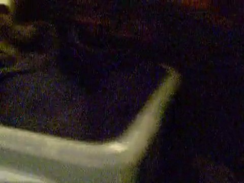 15 septembre 2010 titite et cheli nikon 079