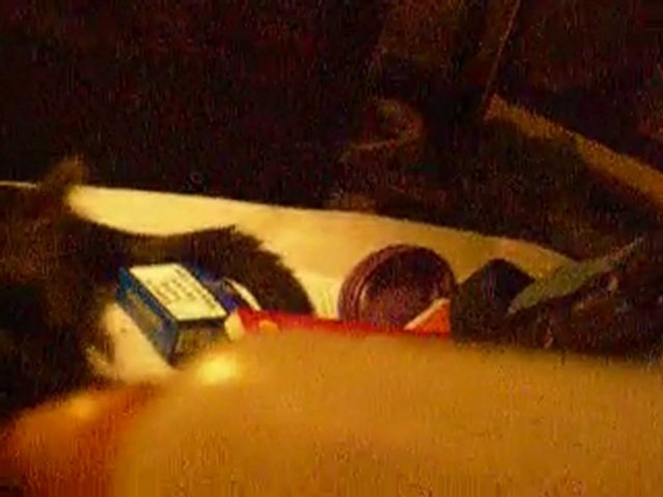 15 septembre 2010 titite et son bibi nikon 088 à 3h31