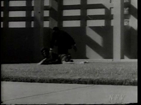 jfk assassination films-dave wiegman