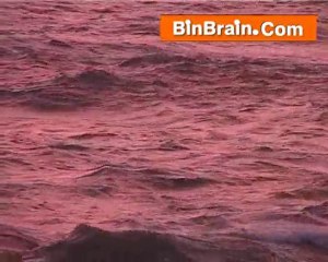 Vivekananda at Kanyakumari