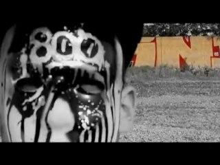 Barj-Mise Au Poing 161 Мb vob